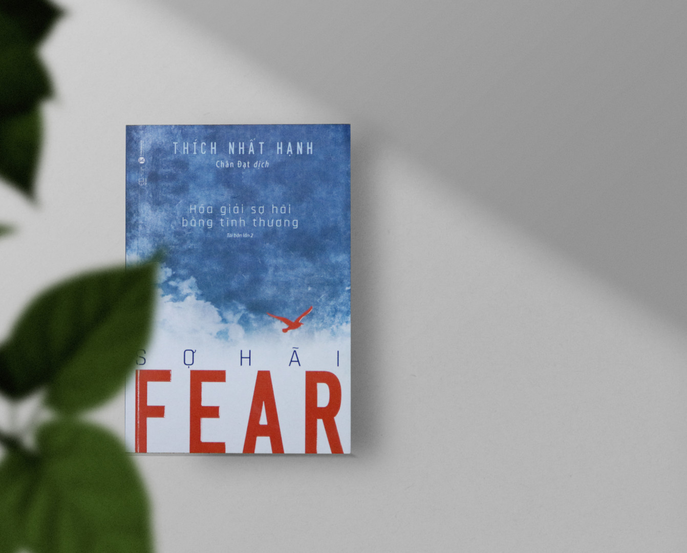 Fear – Hóa giải sợ hãi bằng tình thương